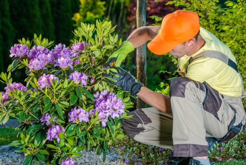 Eco-friendly lawn care practices