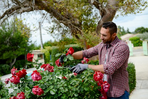 Community garden with diverse plant species