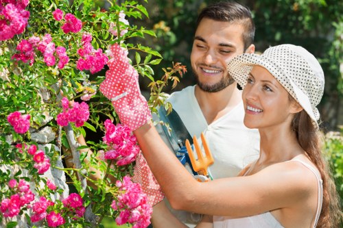Seasonal lawn mowing tips and techniques