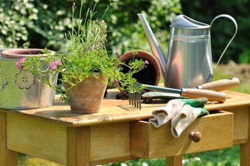 Eco-friendly garden clearance services by Lucy Lucid Gardening