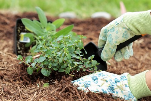 Gardener assessing a garden border and taking notes
