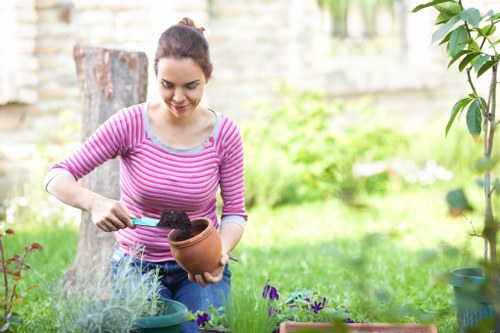 Advanced lawn mowing equipment used by experts