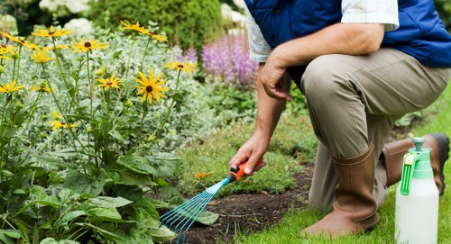 Enhanced curb appeal with professional garden care