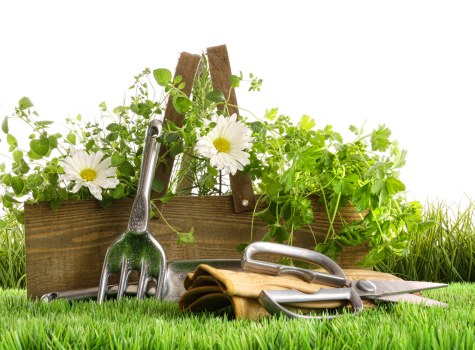 Seasonal garden maintenance tips