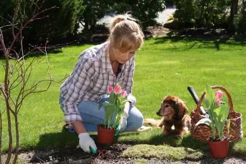 Eco-friendly decking maintenance process