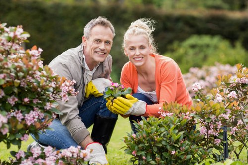 Healthy trees after expert lopping