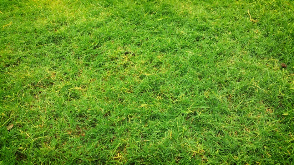 A lush, green front garden with a well-maintained lawn featuring freshly cut grass and a textured appearance. In the foreground, the grass blades are dense and vibrant, showing variations in green sha