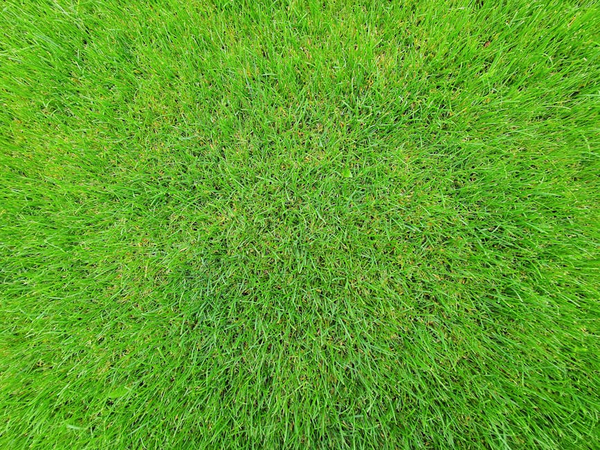 A lush, green front garden with a well-maintained lawn featuring freshly cut grass and a textured appearance. In the foreground, the grass blades are dense and vibrant, showing variations in green sha